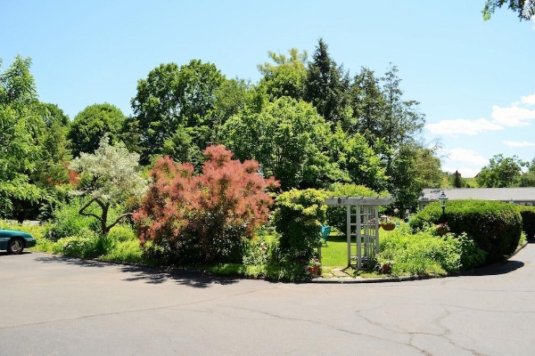Maple Terrace Motel (Williamstown)